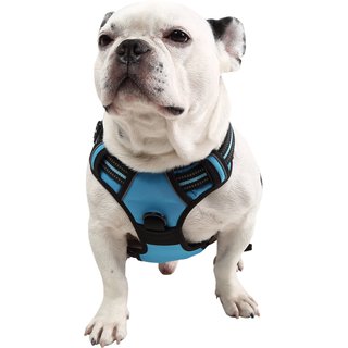 EliteField Padded Reflective No Pull Dog Harness, Blue, Large: 21 to 36-in chest slide 3 of 6