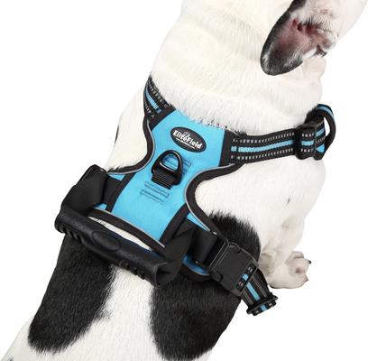 Show full view: EliteField Padded Reflective No Pull Dog Harness, Blue, Medium: 18 to 33-in chest slide 4 of 7