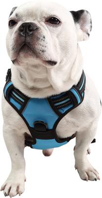 Show full view: EliteField Padded Reflective No Pull Dog Harness, Blue, X-Large: 24 to 43-in chest slide 3 of 7