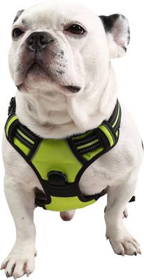 Show full view: EliteField Padded Reflective No Pull Dog Harness, Green, Large: 21 to 36-in chest slide 3 of 7