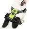 Show in main carousel: EliteField Padded Reflective No Pull Dog Harness, Green, Large: 21 to 36-in chest slide 4 of 7