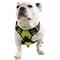 Show in main carousel: EliteField Padded Reflective No Pull Dog Harness, Green, Medium: 18 to 33-in chest slide 3 of 7