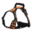 EliteField Padded Reflective No Pull Dog Harness, Orange, Large: 21 to 36-in chest