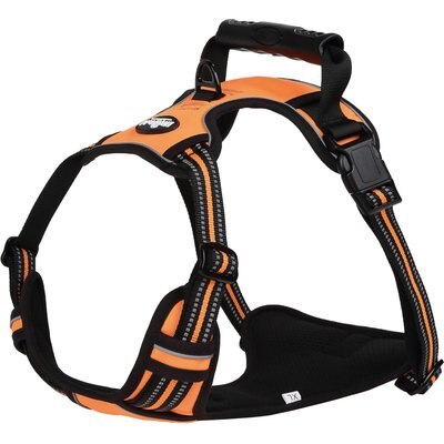 EliteField EliteField Padded Reflective No Pull Dog Harness, Orange, X-Large: 24 to 43-in chest