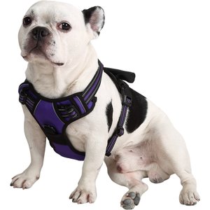 EliteField Padded Reflective No Pull Dog Harness, Purple, Large: 21 to 36-in chest