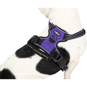 EliteField Padded Reflective No Pull Dog Harness, Purple, Large: 21 to 36-in chest
