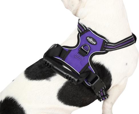 Show full view: EliteField Padded Reflective No Pull Dog Harness, Purple, Small: 15 to 28-in chest slide 4 of 7
