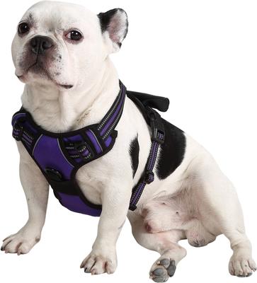 Show full view: EliteField Padded Reflective No Pull Dog Harness, Purple, X-Large: 24 to 43-in chest slide 3 of 7