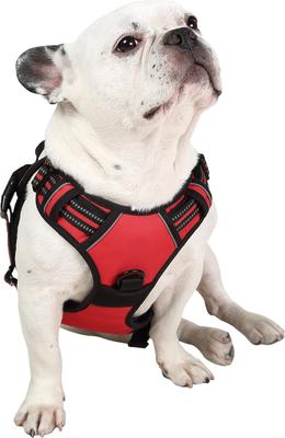 Show full view: EliteField Padded Reflective No Pull Dog Harness, Red, Large: 21 to 36-in chest slide 3 of 7
