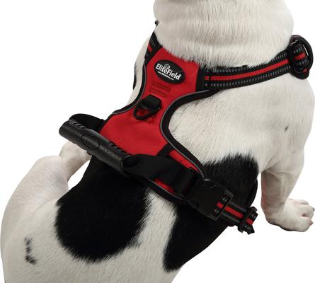 Show full view: EliteField Padded Reflective No Pull Dog Harness, Red, Large: 21 to 36-in chest slide 4 of 7