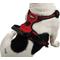 Show in main carousel: EliteField Padded Reflective No Pull Dog Harness, Red, Medium: 18 to 33-in chest slide 4 of 7