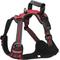 Show in main carousel: EliteField Padded Reflective No Pull Dog Harness, Red, X-Large: 24 to 43-in chest slide 1 of 8