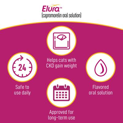 Show full view: Elura (capromorelin oral solution) for Cats, 20 mg/mL, 15 mL slide 4 of 8
