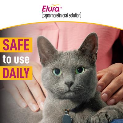 Show full view: Elura (capromorelin oral solution) for Cats, 20 mg/mL, 15 mL slide 6 of 8