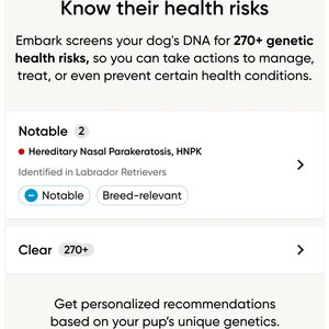Embark Breed & Health Dog DNA Test Kit