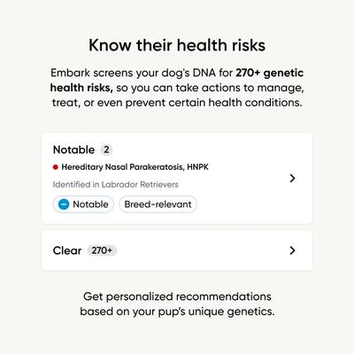 Show full view: Embark Breed & Health Dog DNA Test Kit slide 5 of 11