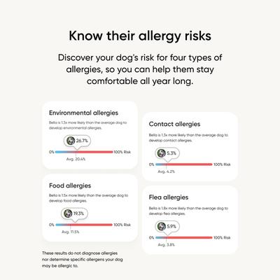 Show full view: Embark Breed & Health Dog DNA Test Kit slide 8 of 11