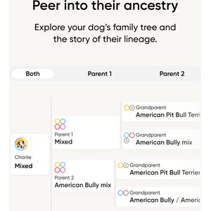 Embark Breed & Health Dog DNA Test Kit