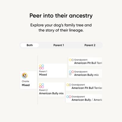 Show full view: Embark Breed & Health Dog DNA Test Kit slide 7 of 11