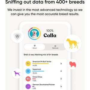 Embark Breed & Health Dog DNA Test Kit