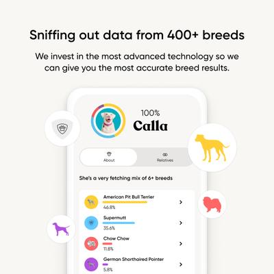 Show full view: Embark Breed & Health Dog DNA Test Kit slide 3 of 11