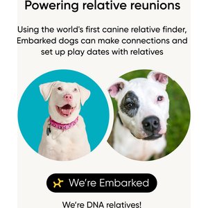 Embark Breed & Health Dog DNA Test Kit