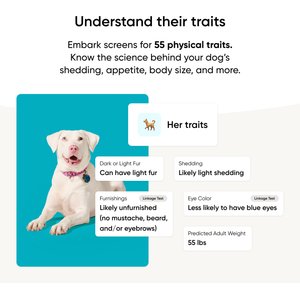 Embark Breed & Health Dog DNA Test Kit