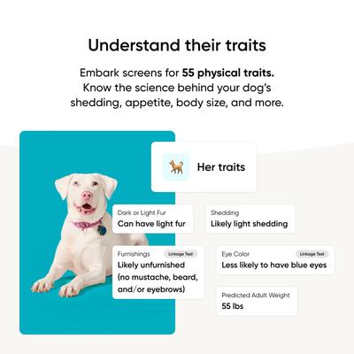 Show full view: Embark Breed & Health Dog DNA Test Kit slide 6 of 11