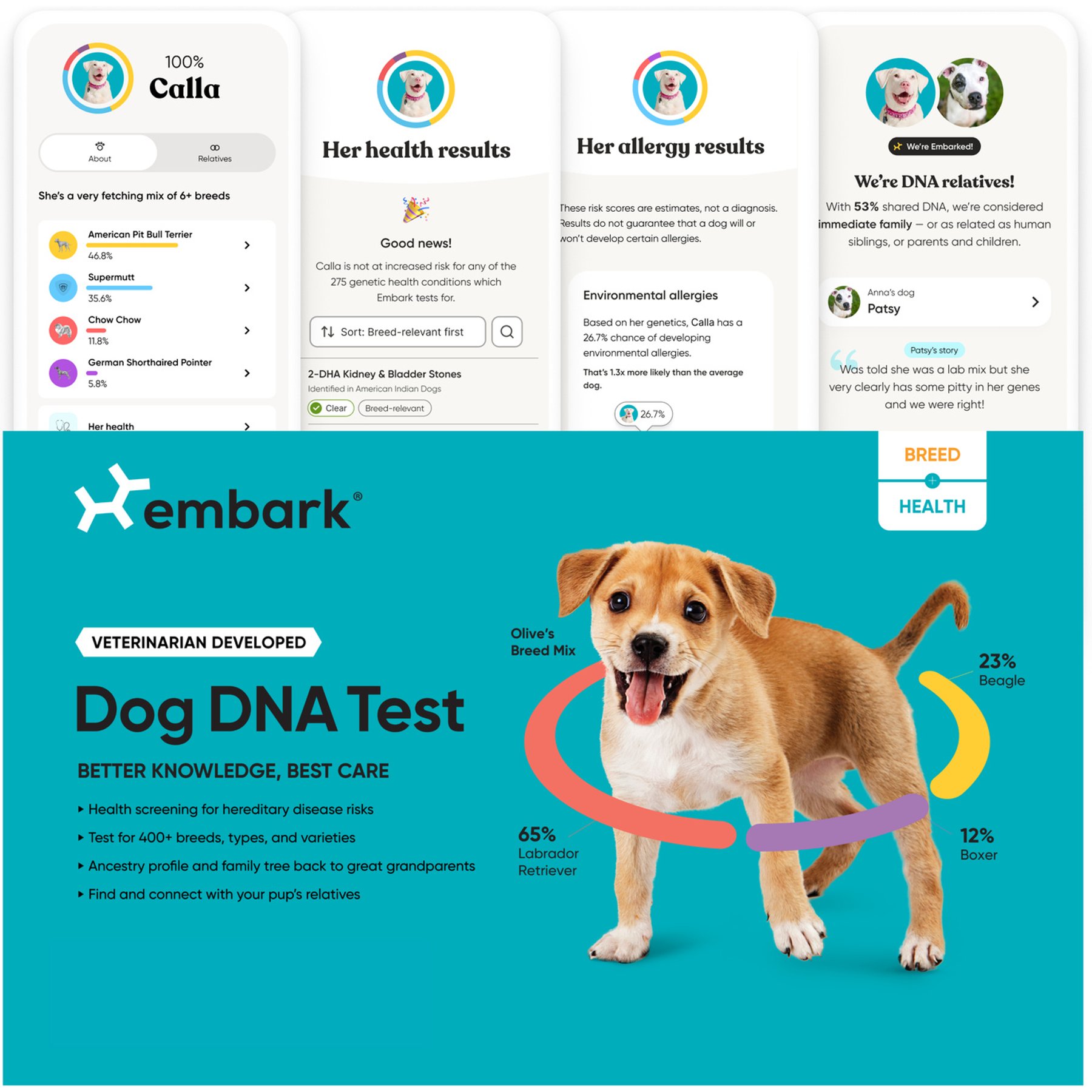 Embark Dog DNA Test Kit, Breed & Ancestry Identification, Trait & Health Detection