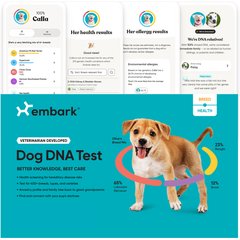 Embark Breed & Health Dog DNA Test Kit