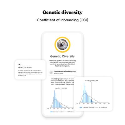 Show full view: Embark Breed & Health Dog DNA Test Kit slide 8 of 12