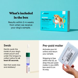 Embark Breed & Health Dog DNA Test Kit