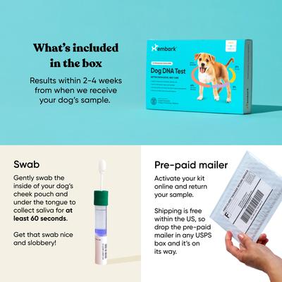 Show full view: Embark Breed & Health Dog DNA Test Kit slide 9 of 11