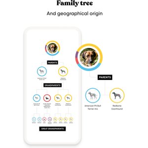 Embark Breed & Health Dog DNA Test Kit