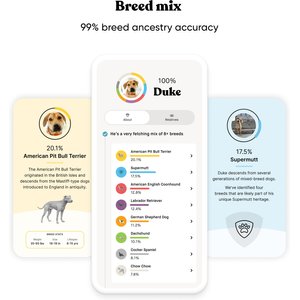 Embark Breed & Health Dog DNA Test Kit