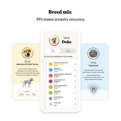 Show full view: Embark Breed & Health Dog DNA Test Kit slide 3 of 12