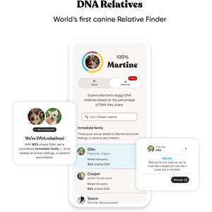 Embark Breed & Health Dog DNA Test Kit