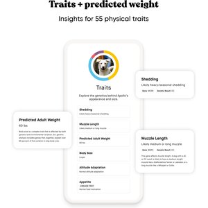 Embark Breed & Health Dog DNA Test Kit