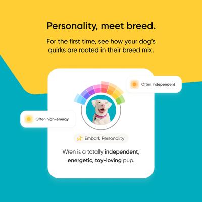 Show full view: Embark Breed Identification Dog DNA Test Kit slide 7 of 10