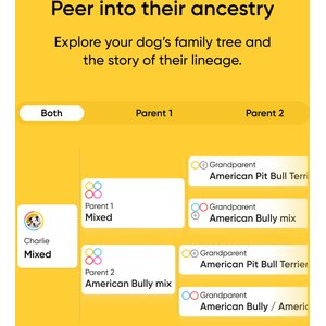 Embark Breed Identification Dog DNA Test Kit