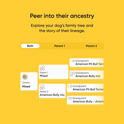 Show full view: Embark Breed Identification Dog DNA Test Kit slide 6 of 10