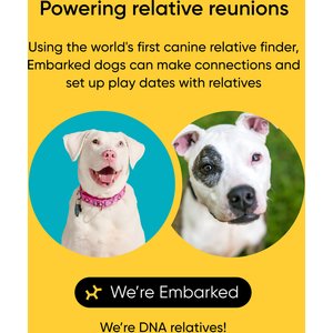Embark Breed Identification Dog DNA Test Kit