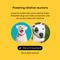 Show in main carousel: Embark Breed Identification Dog DNA Test Kit slide 4 of 10