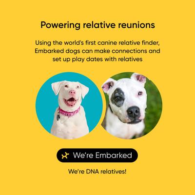 Show full view: Embark Breed Identification Dog DNA Test Kit slide 4 of 10