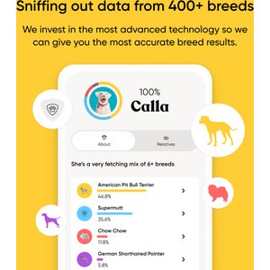 Embark Breed Identification Dog DNA Test Kit