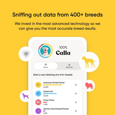 Show full view: Embark Breed Identification Dog DNA Test Kit slide 3 of 10