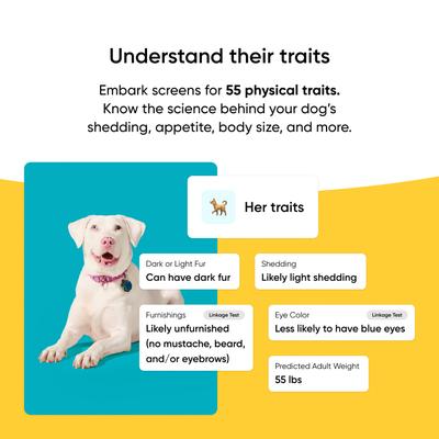 Show full view: Embark Breed Identification Dog DNA Test Kit slide 5 of 10