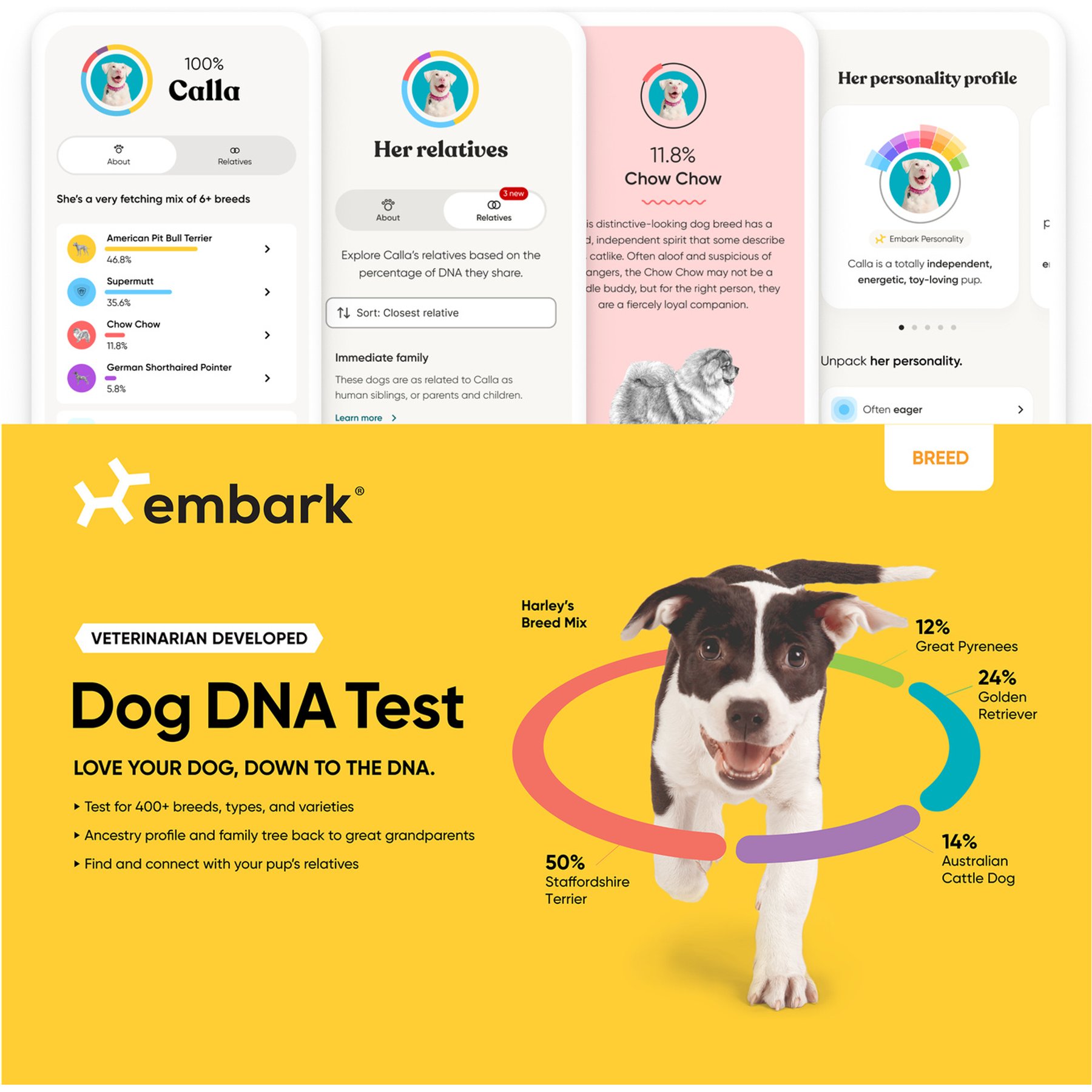Embark Dog DNA Test Kit