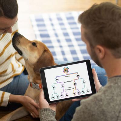 Show full view: Embark Breed Identification Dog DNA Test Kit slide 10 of 11