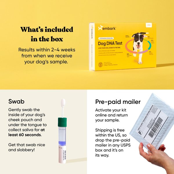 Show full view: Embark Breed Identification Dog DNA Test Kit slide 7 of 10